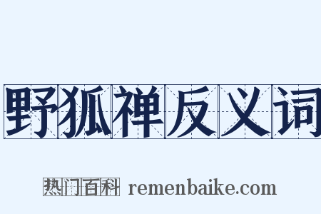 野狐禅反义词是什么意思的图片